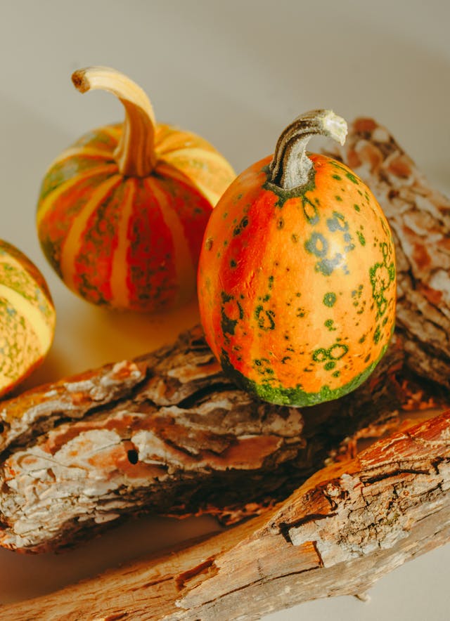 申込テスト (同伴あり)